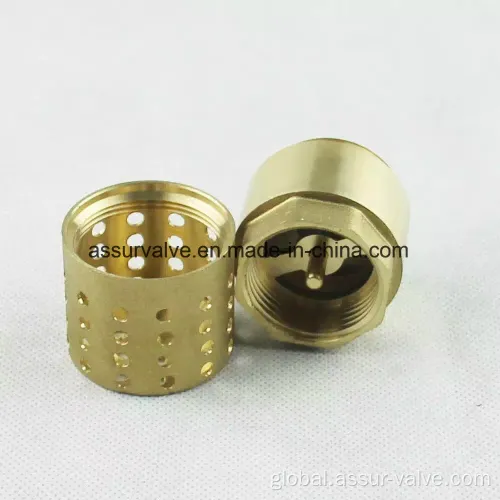 Swing Vs Spring Check Valves Brass Spring Check Valve with Filter as-C003 Factory